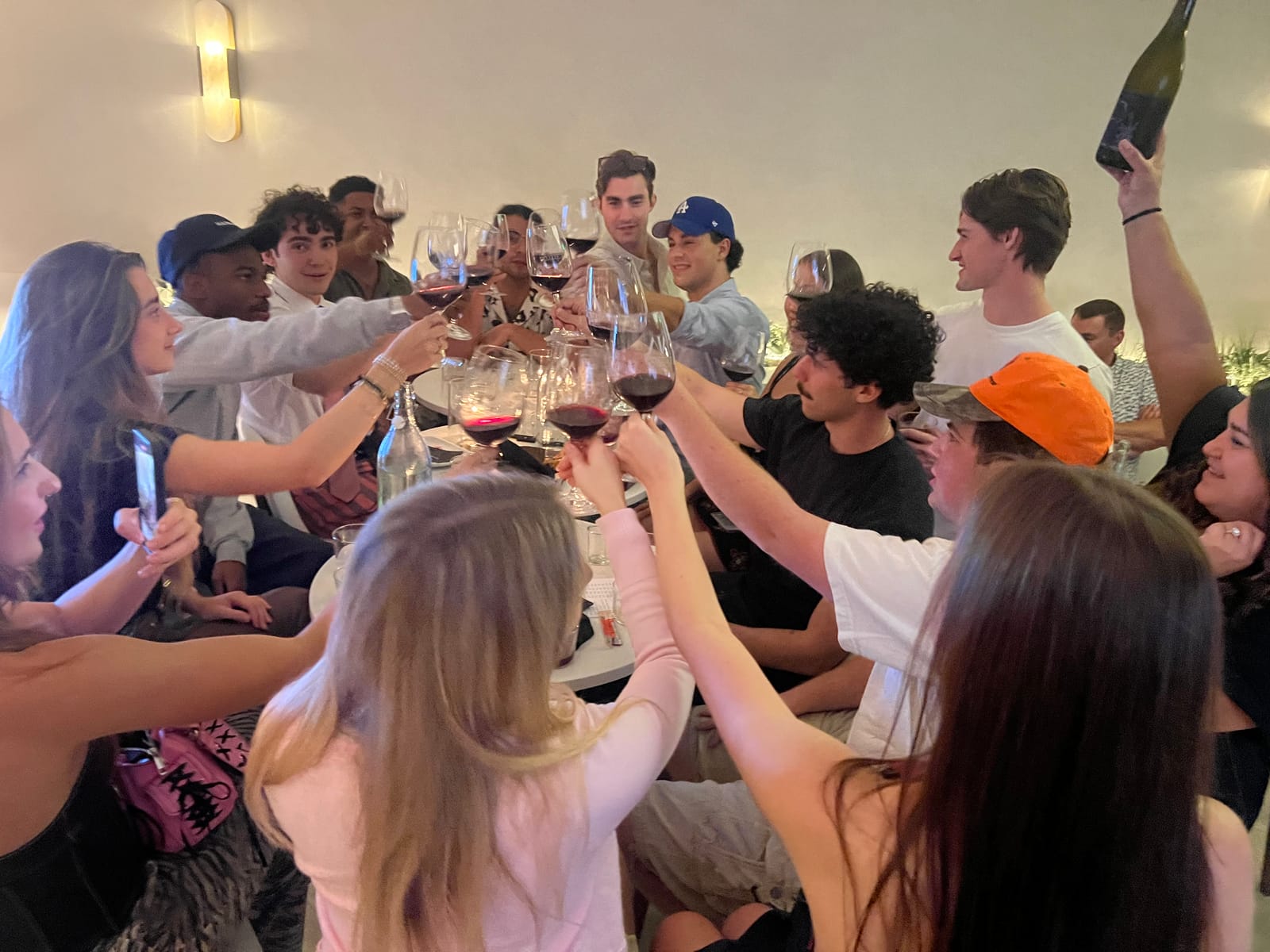 A large group of friends raising glasses of red wine in a toast in the tasting room